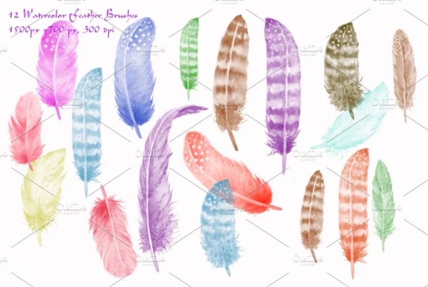 Watercolor Feather Brushes Set