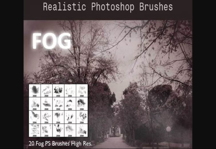 20 Realistic Fog Brush ABR