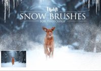 Snow Photoshop Brushes