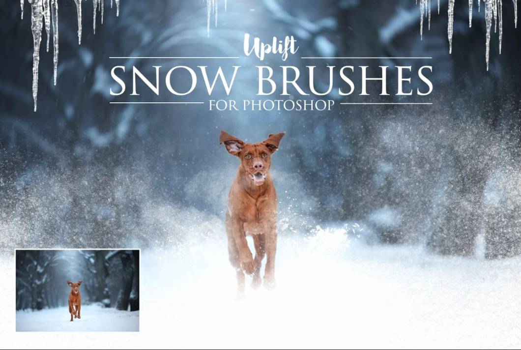25 Snow Photoshop Brushes