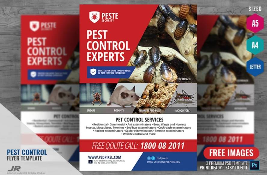 A4 and A5 Pest control Poster Template 
