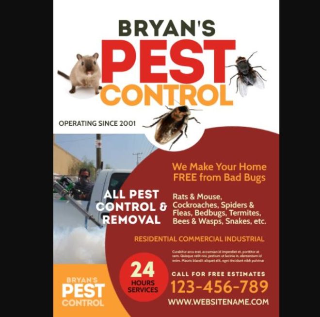 15+ Pest Control Flyer Template PSD Download - Graphic Cloud