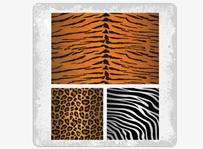 15+ Animal Skin Textures PNG JPG Free Download - Graphic Cloud