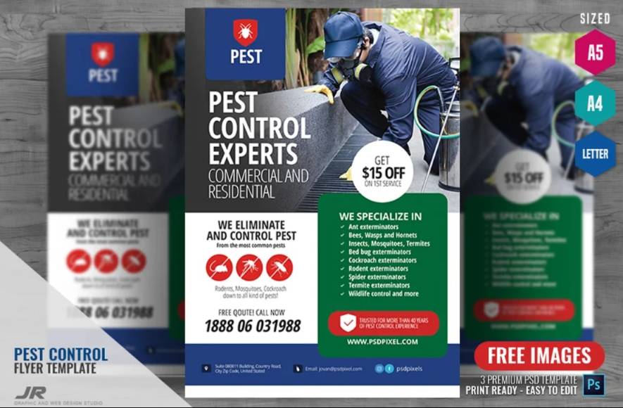 Pest Control Experts Flyer