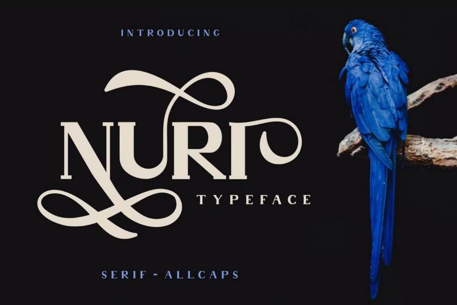 Classic and Elegant Style Typeface