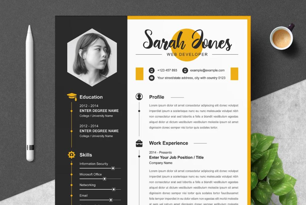 Professional and Colorful Resume 