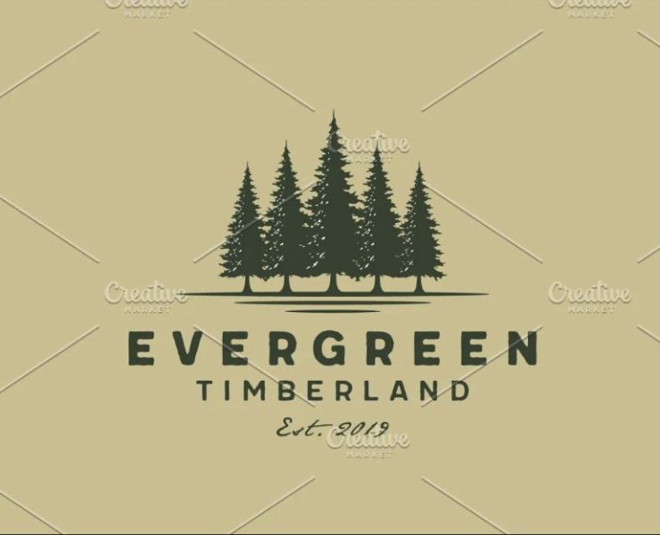 15+ Pine Tree Logo Design Template Ai EPS Download