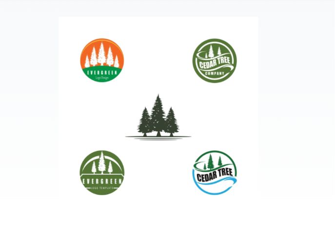 Evergreen Pine Logo Design