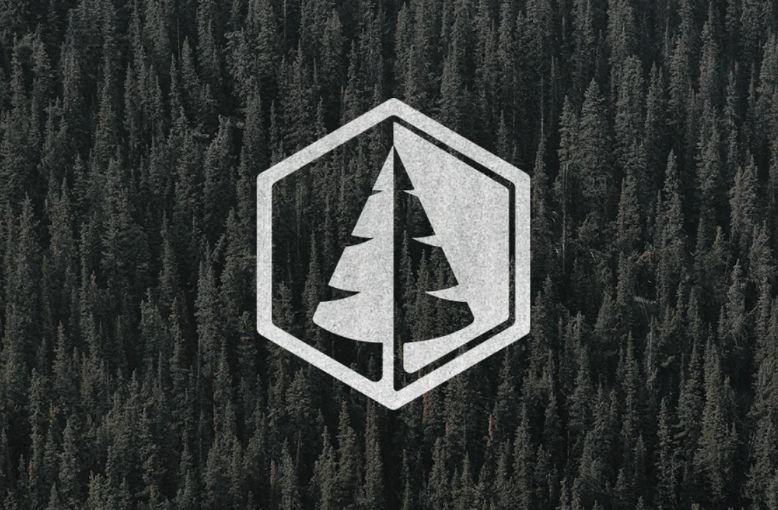 Split Style Pine Tree Logo