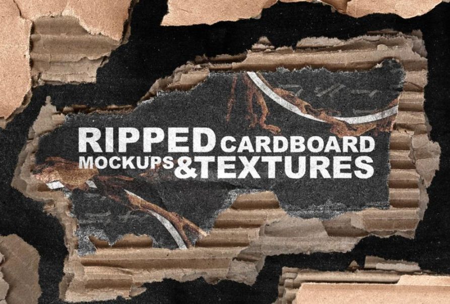 Ripped Cardboard Textures and Mockups