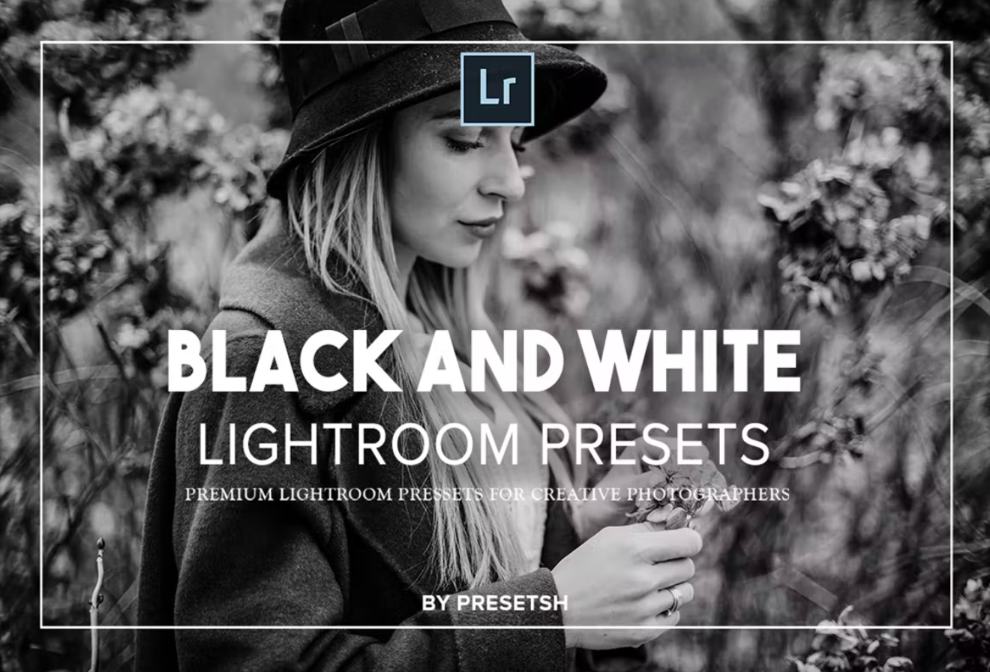 12 Professional Lightroom Preset Designs