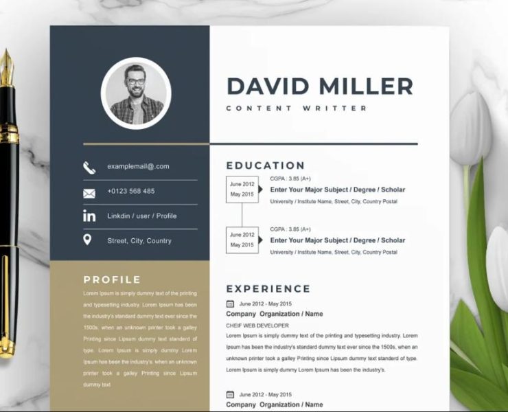 Content Writer Resume Template