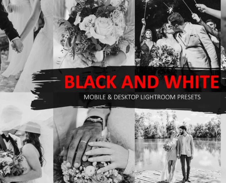 15+ Black and White Lightroom Presets Download
