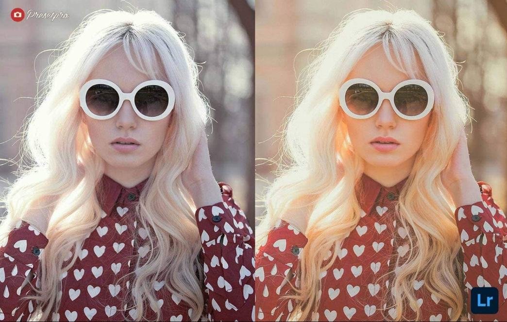 Vintage Lightroom Preset Free