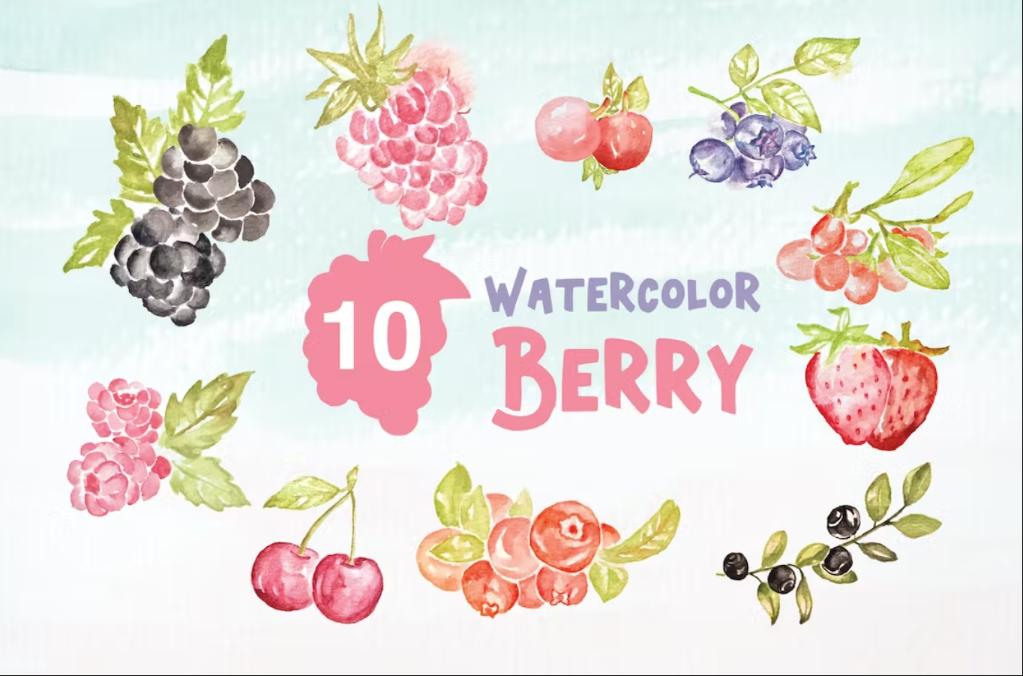 10 Watercolor Berry Graphic Elements