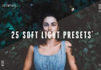 Soft Light Lightroom Presets