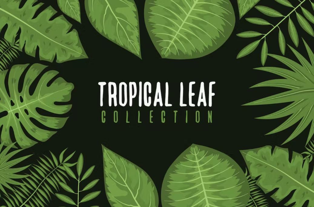 7 Tropical Leaves Illustration Designs