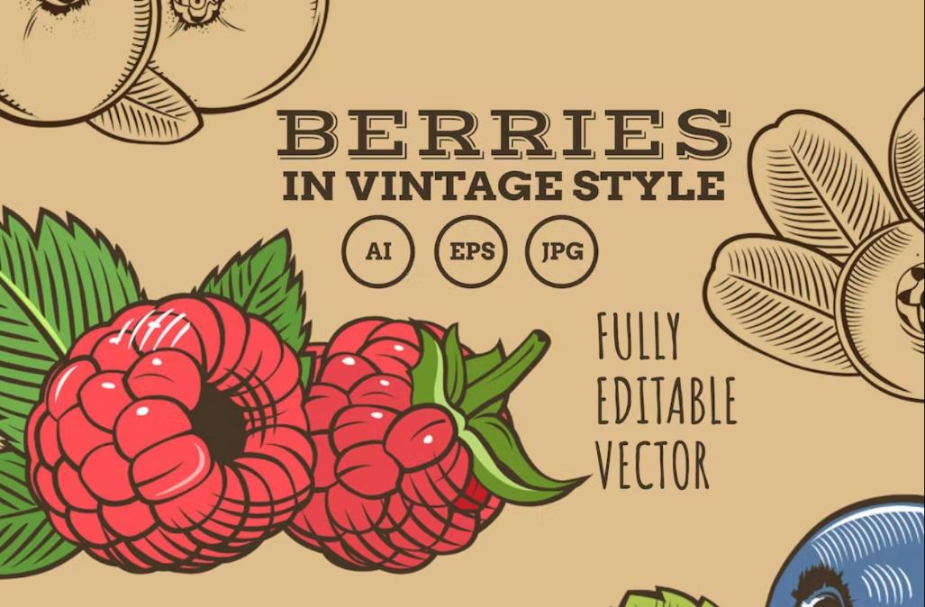 Ai and EPS Vintage Berries