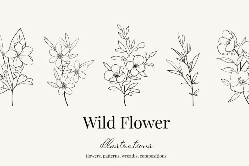 Beautiful Wild Flower Illustrations Set