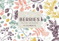 Berries Illustrations