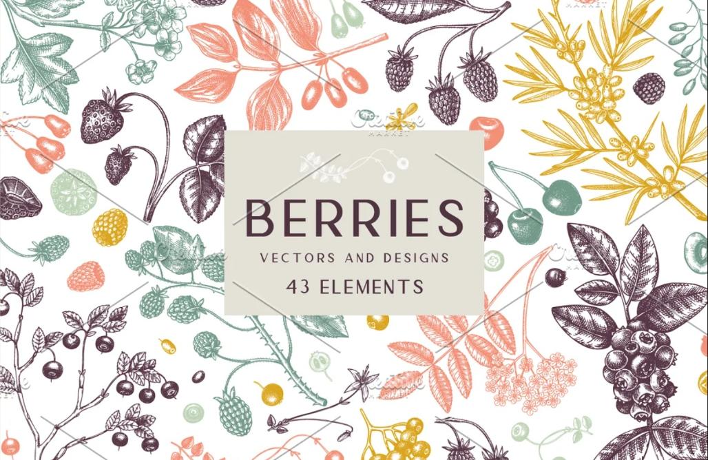 Berries Vectors and Elements