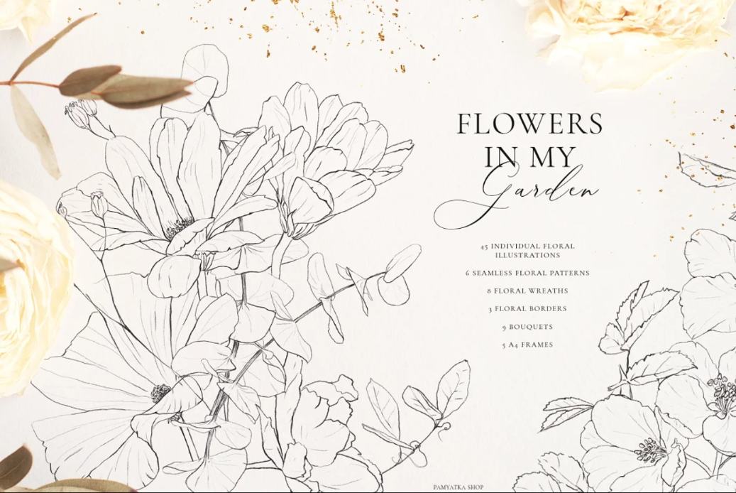 Botanical Pencil Sketch Illustrations Pack