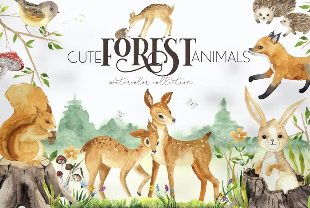 Cute Forest Animal Illustrations Collection 