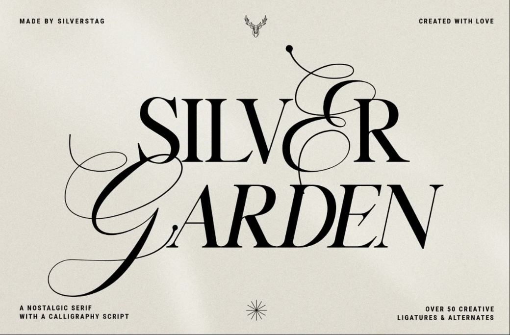 Elegant Silver Font