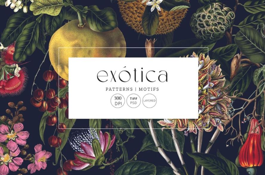 Exotic Luxury Patterns and Elements
