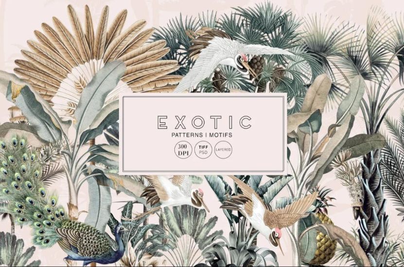 Exotic Tropical Illustration Elements