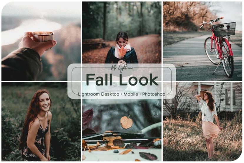 Fall Look Lr Presets