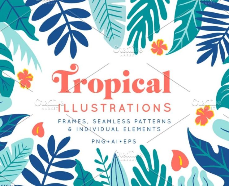 Tropical Illustrations