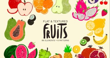 Fruit Illustrations