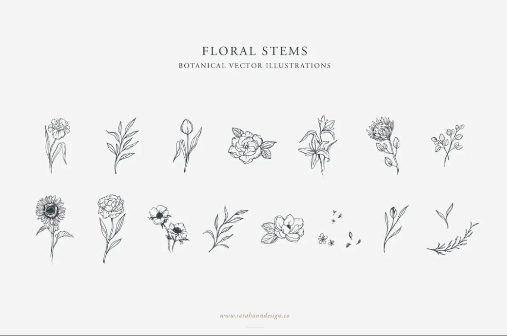 Floral Stems Illustration Designs