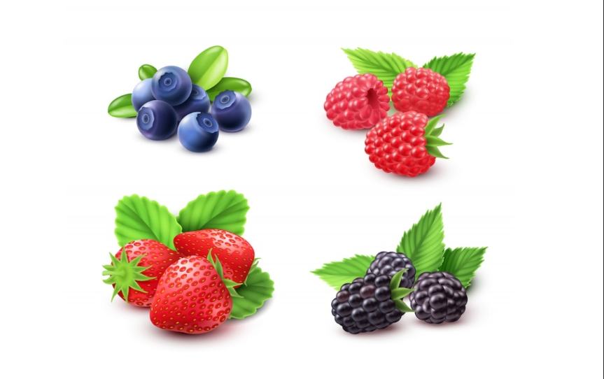 Free Realistic Berry Illustrations