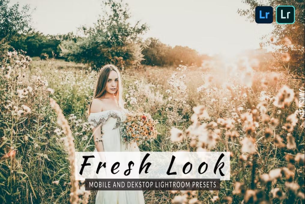 Fresh Look Desktop Preset