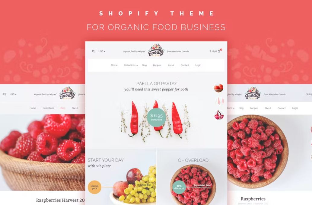 Grocery Store Shopify Theme