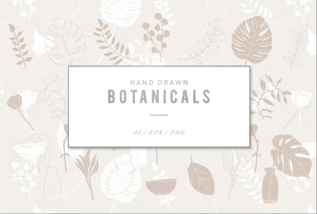 Hand Drawn Botanical Illustrations