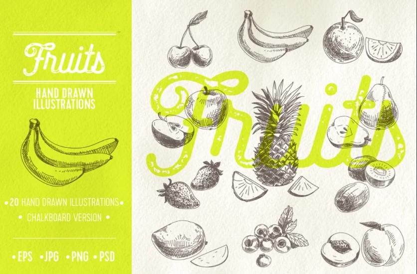Hand Drawn Fruit Vector Illustrations 