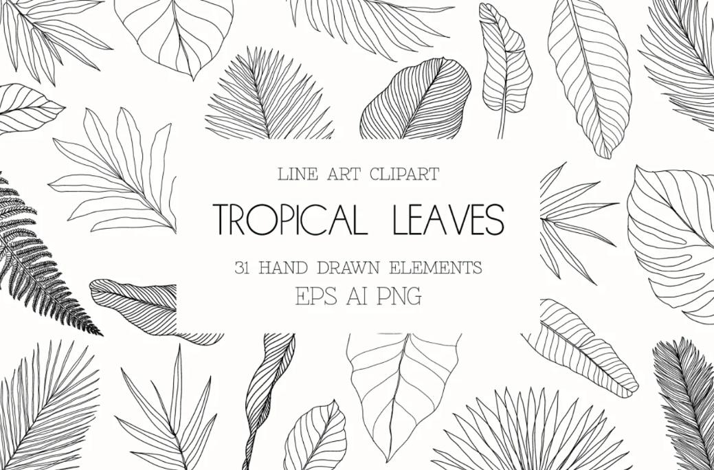 Hand Drawn Tropical Leaves