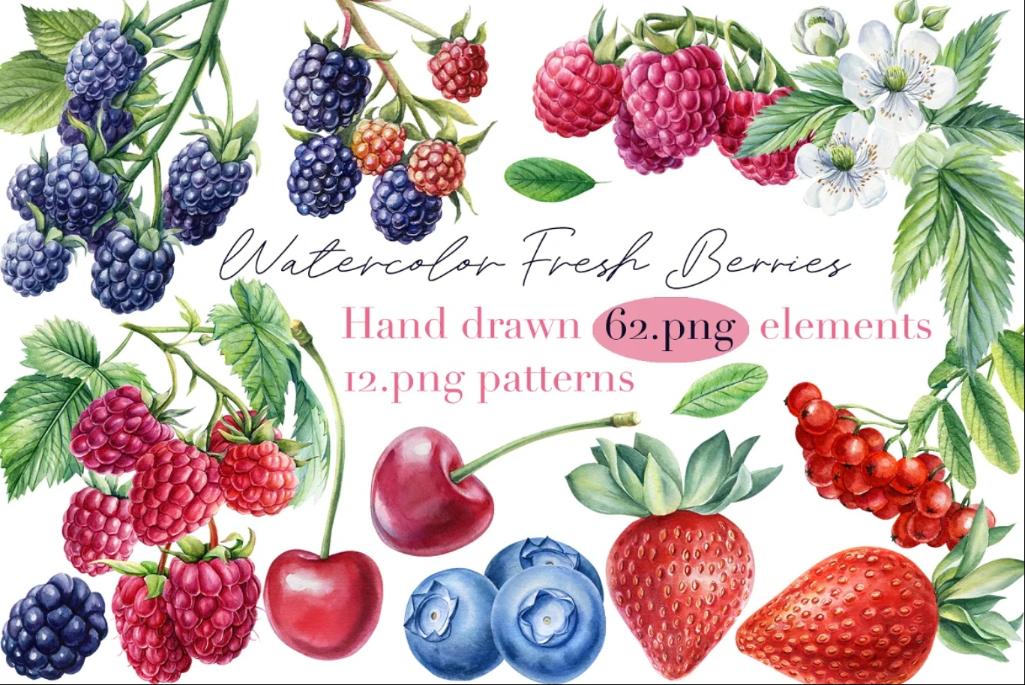 Hand Drawn Watercolor Fresh Berries Illustrations