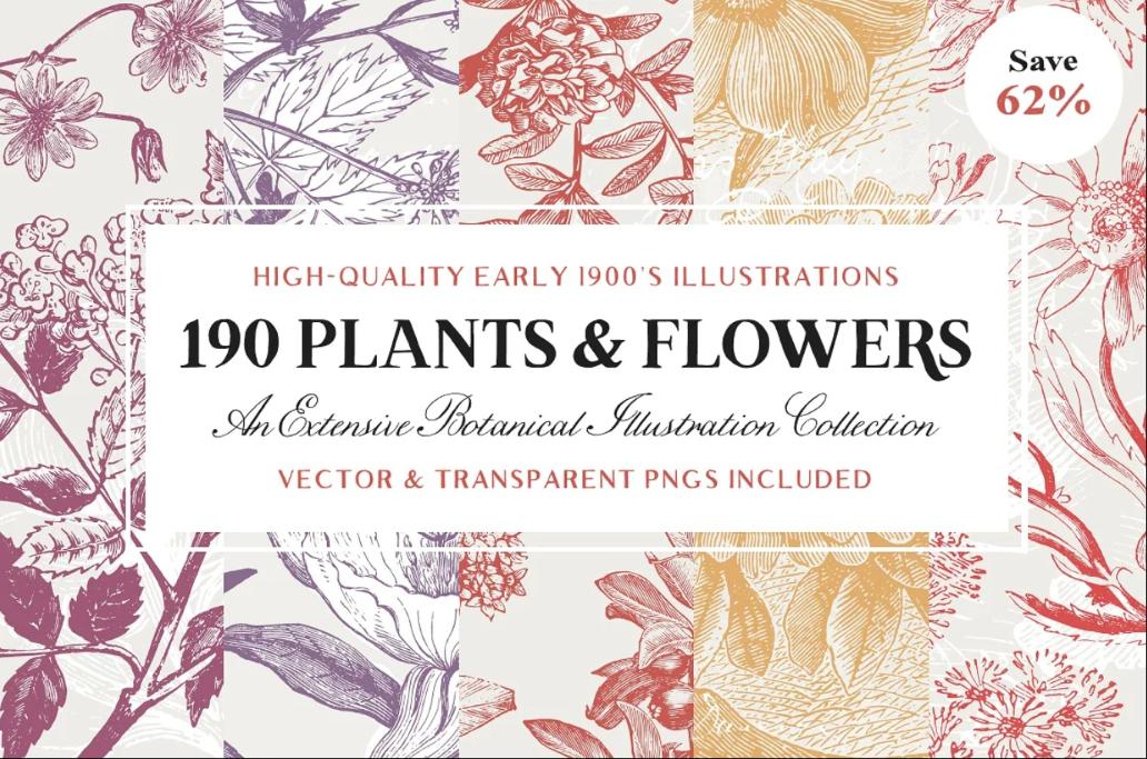 High Quality Botanical Illustrationss