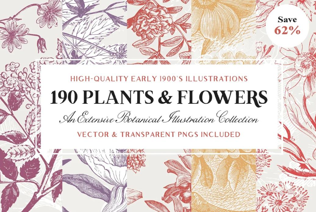 High Quality Vintage Plant Illustrations