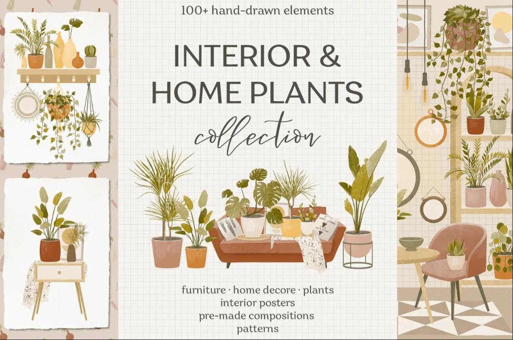 Home Interior and Plants elements