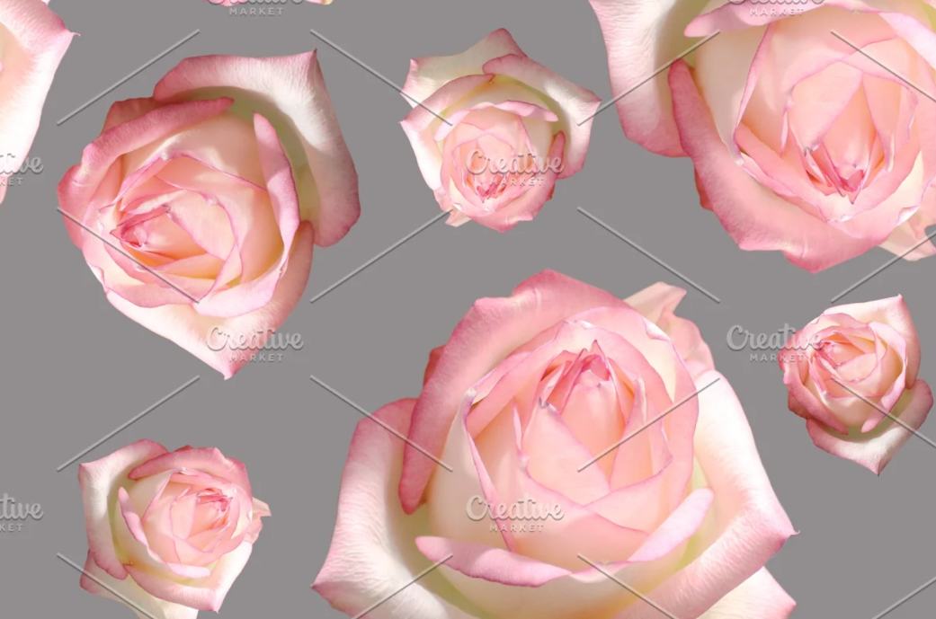 Seamless Rose Background Design