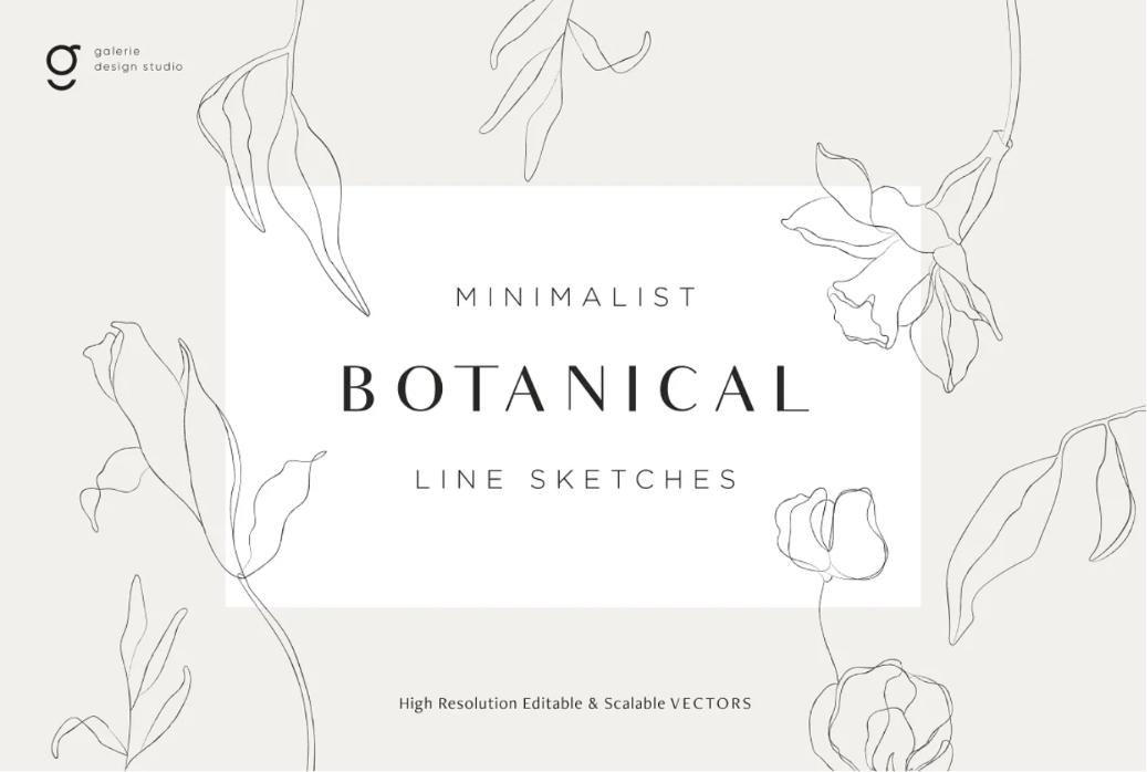 Thin Botanical Line Illustrations