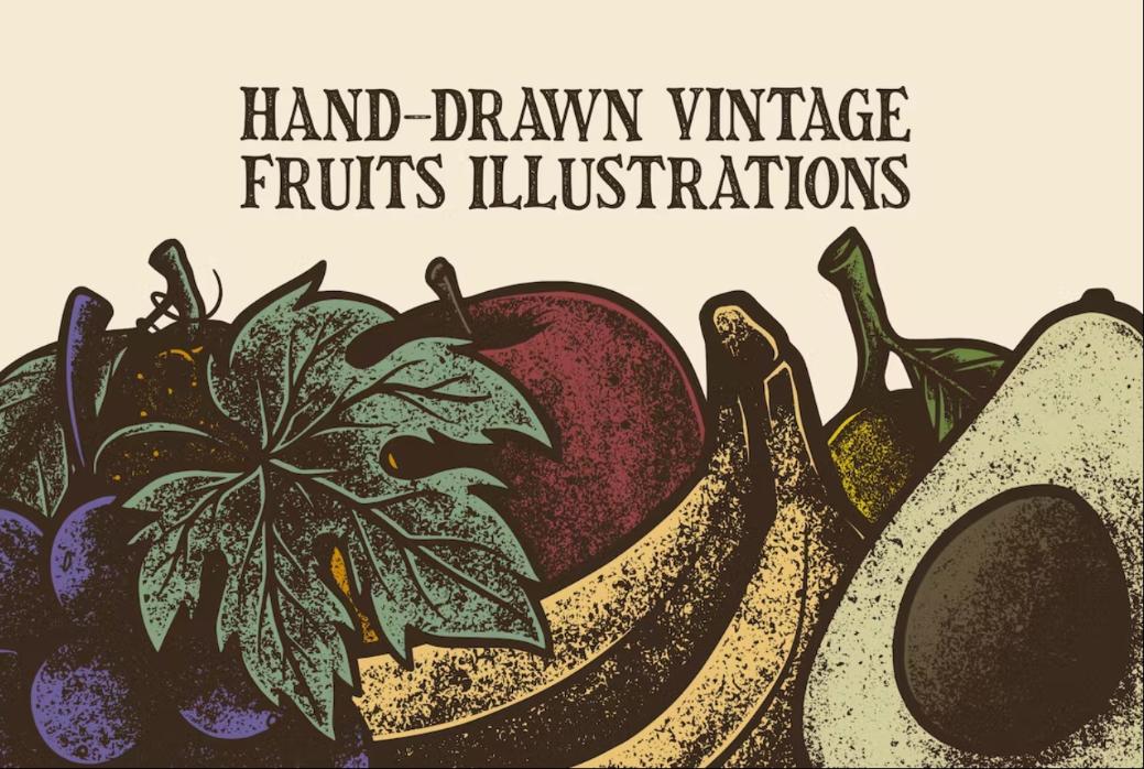 Vintage Fruit Illustration Designs