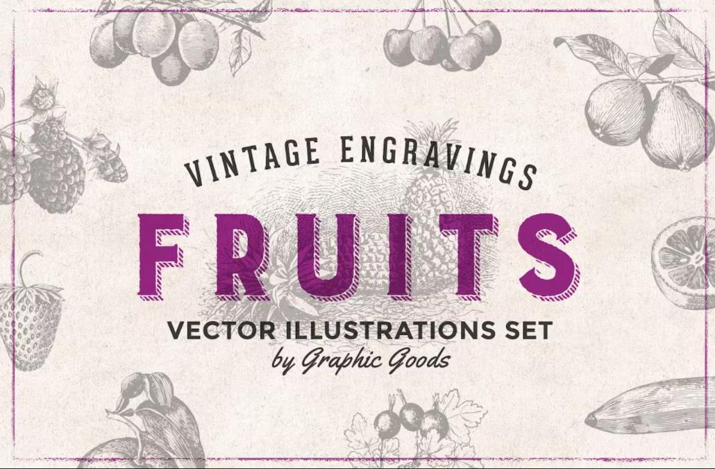 Vintage Fruit Vector Cliparts