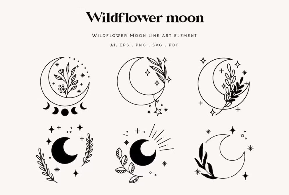 Wildflower Moon Illustrations Set