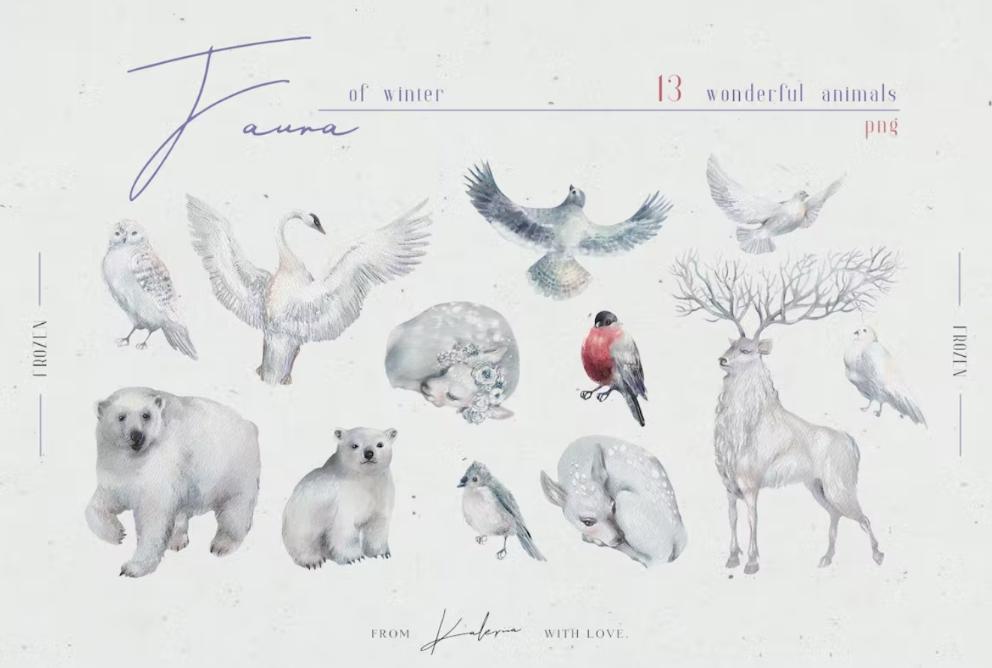 Winter Fauna Illustrations Set